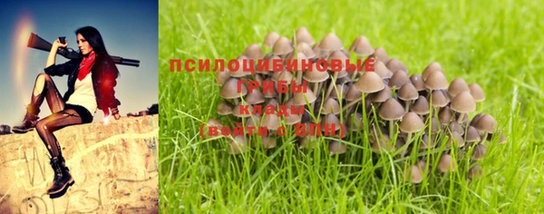 дживик Куйбышев